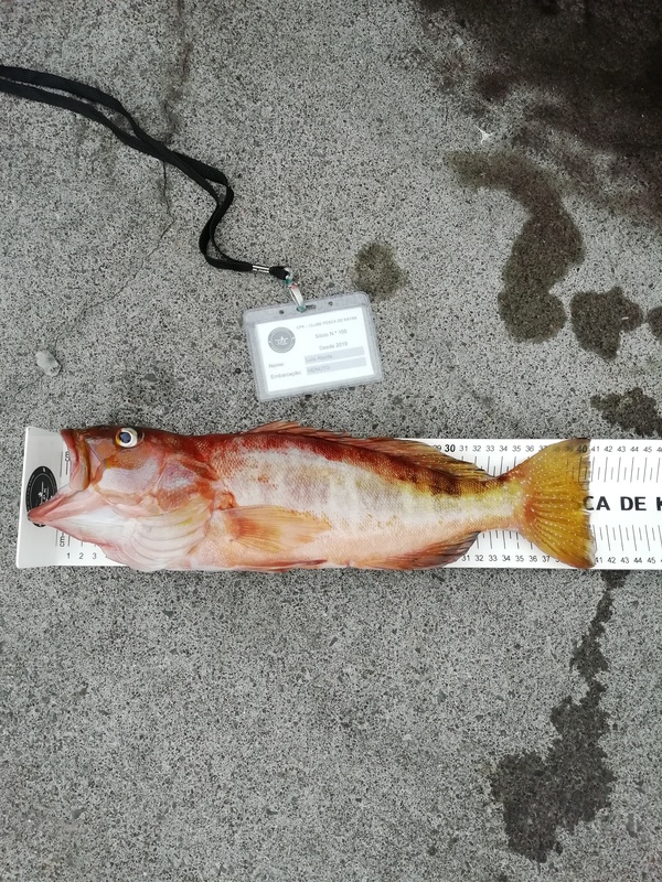 Fish Measure Picture